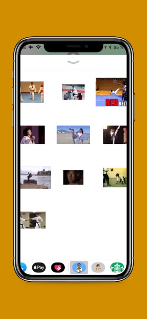 Karate Funny Gifs(圖2)-速報App