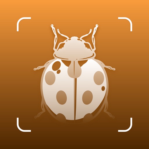 Insect ID - Bug Identifier iOS App