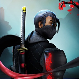 Shadow Ninja Assassin Game Ep4