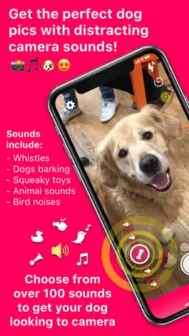 Game screenshot DogCam - Dog Selfie Camera mod apk