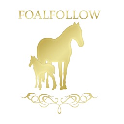 FoalFollow