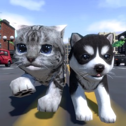 Cute Cat And Puppy World