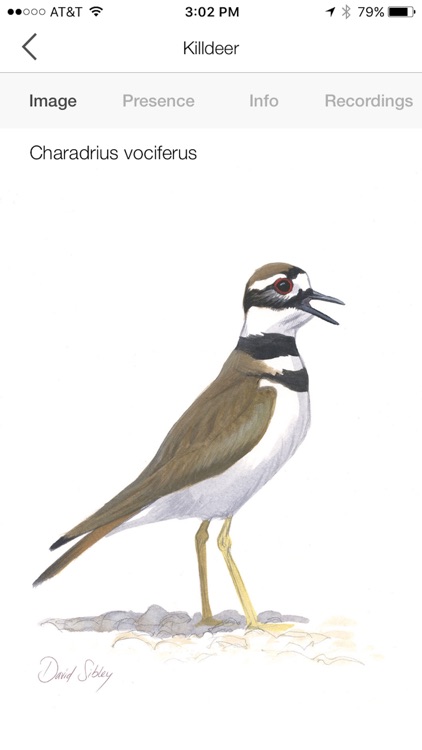 Song Sleuth: Auto Bird Song ID screenshot-5