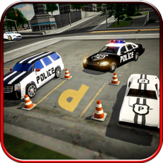 Activities of Real City Police Car Parking
