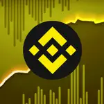 Binance Smart Chain Explorer App Cancel