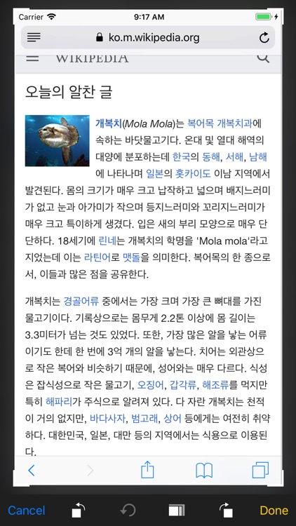 Nepali Korean Translator screenshot-6