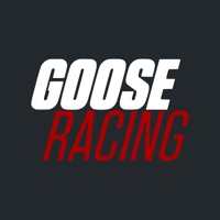 Goose Racing
