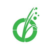Pollen Wise pour PC