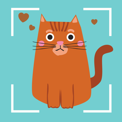 Cat Identifier - Kitty Scanner