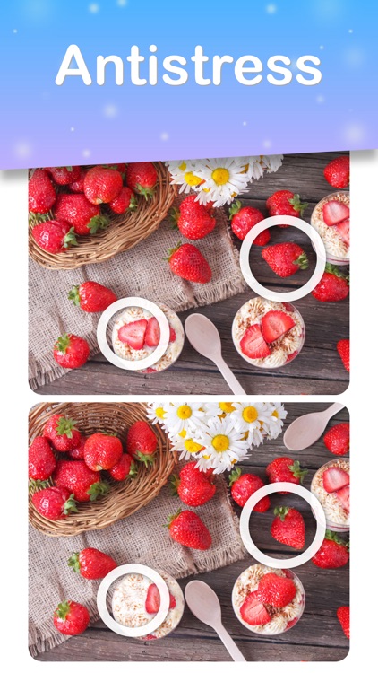 Spot 5 Differences: Find them! screenshot-3