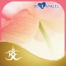 Get Reiki Healing Touch for iOS, iPhone, iPad Aso Report