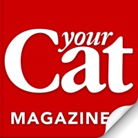 Your Cat Avis