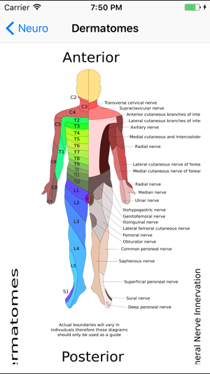 MSK Physio(圖4)-速報App