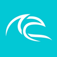 Swellnet: Surfcams & Forecasts