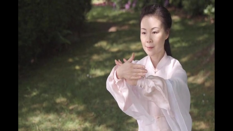 Tai Chi for Beginners 48 Form screenshot-4
