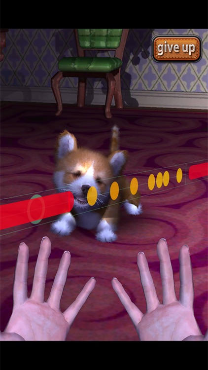 Animal Dance puppies screenshot-5