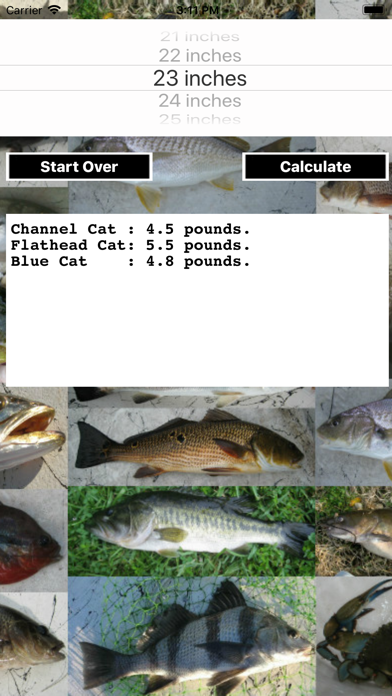 Fishing Scale screenshot 2