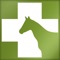 VES is an embedded software for equine vet, he accompanied the veterinarian in its outpatient