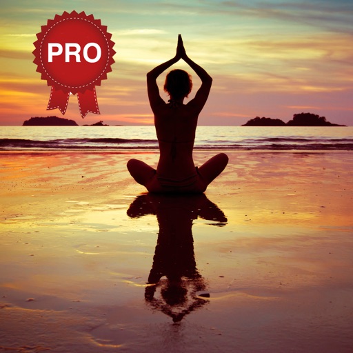 Stretch & Yoga Workouts PRO icon