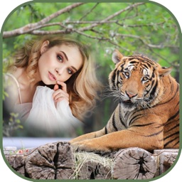 International Tiger Day Frames