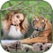 “Tiger Day Photo Frame HD” app, you can decorate your photos with instant various Tiger Day photo frames specially designed for this Tiger Day occasion and save in your very own album in this awesome camera photo booth app