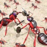 Get Ant War! for iOS, iPhone, iPad Aso Report