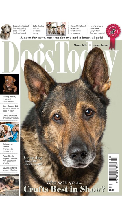 Dogs Today Magazine
