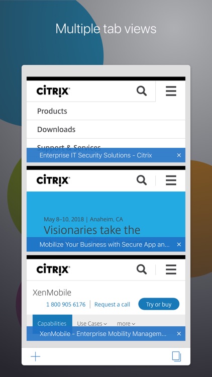 Citrix Secure Web
