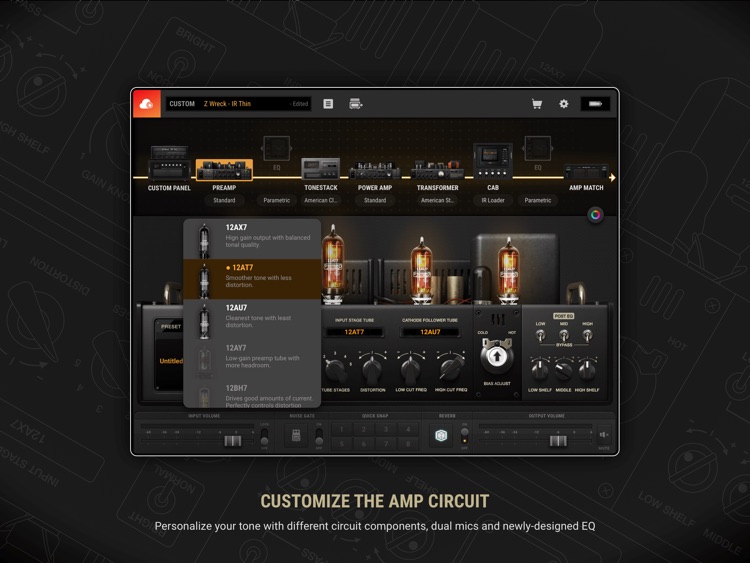 BIAS AMP 2