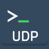UDP Terminal - Gopi Gadhiya