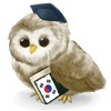 Icon MTL Learn Korean