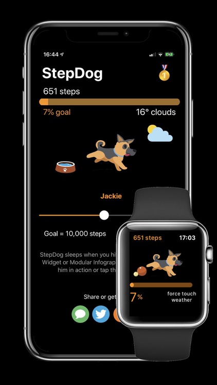 StepDog - Watch Face Dog
