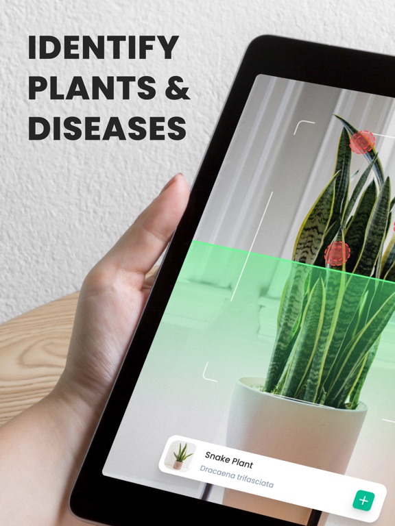 iPad Image of PlantIn: Plant Identifier
