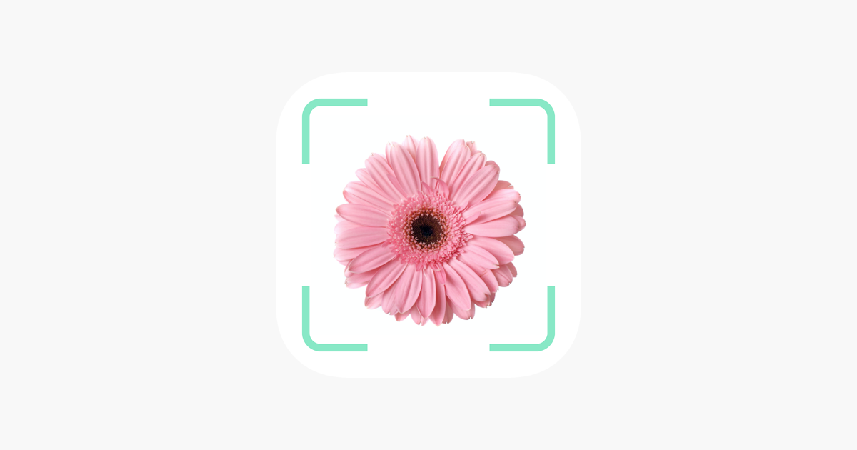 Plantr 植物の名前 植物写真 をapp Storeで