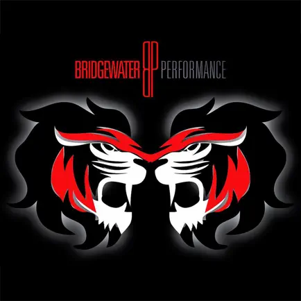 Bridgewater Performance Читы