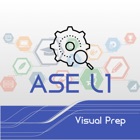 ASE L1 Visual Prep
