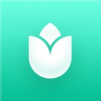 PlantIn・Plantes reconnaissance sur PC