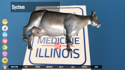 Illinois Cow screenshot 4