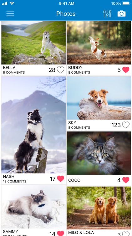 Tractive Pet Photos Gallery screenshot-0