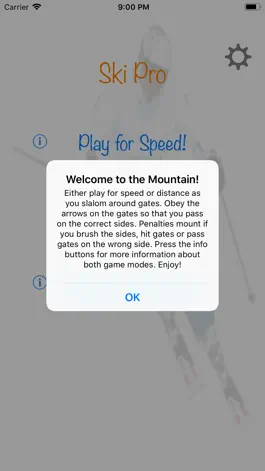 Game screenshot Ski Pro apk