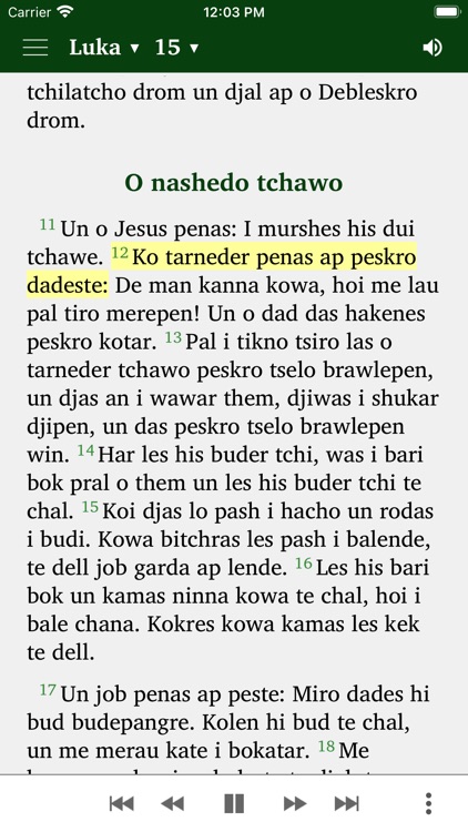 Sinti Romanes Evangelien screenshot-4