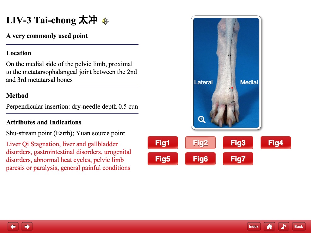 Canine Acupuncture Point HD screenshot 3