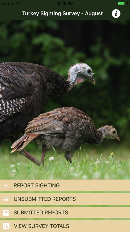 Turkey Sighting Survey