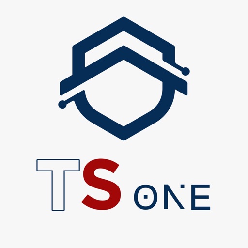 TSOne