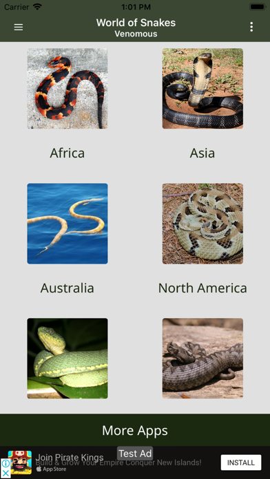 Amazing World Of Snakes screenshot 2