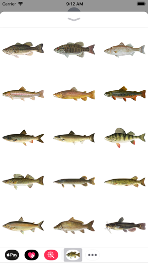 Fish Stickers(圖2)-速報App