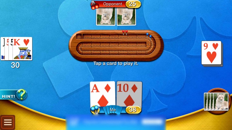 Download Cribbage - Crib & Peg Game by WildCard Classics Inc