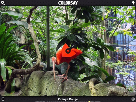 ColorSay ColorSay