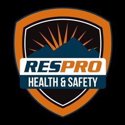 Respro Safety Audits