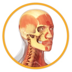 Miniatlas Anatomía - AP